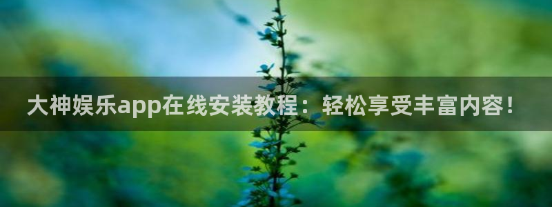 壹号app官网版下载