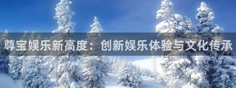 壹号大舞台28国际大舞台