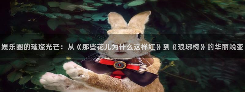 天富平台退款怎么退