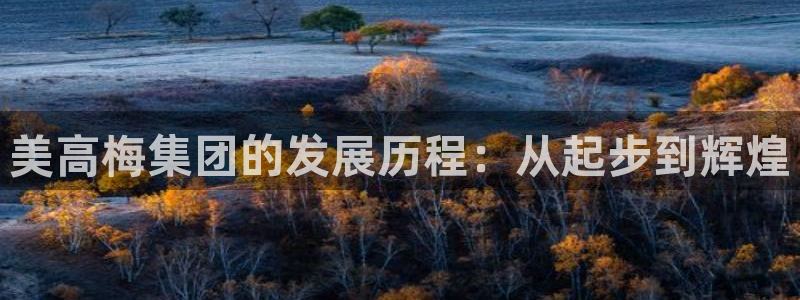 天富平台游戏官网平台入口