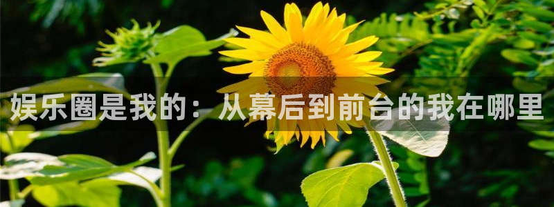 天富平台网页版登