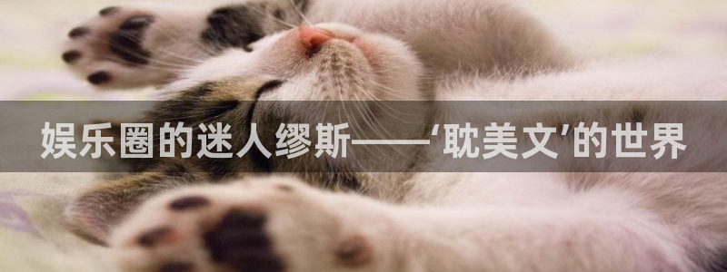 天富平台com