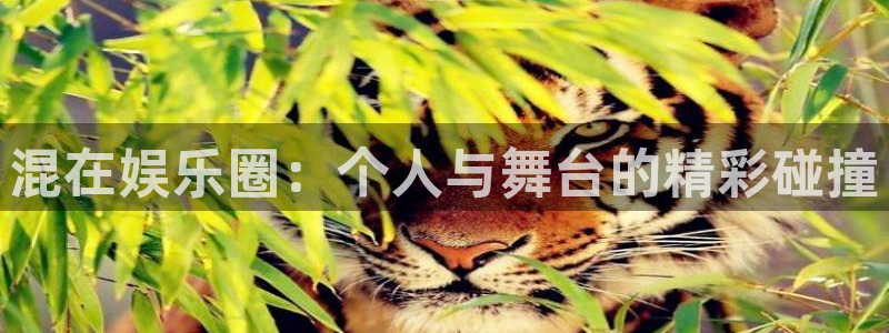 天富平台下载