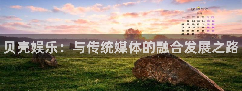 天富平台网站