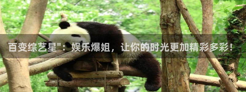 天富平台电子游戏