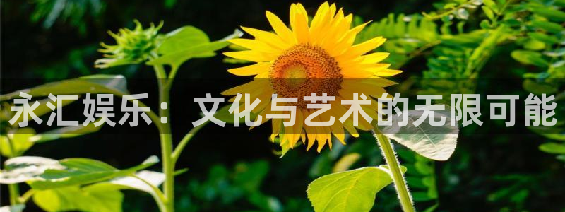 天富平台免费注册