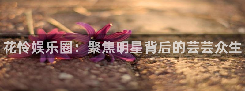 天富平台网页版登
