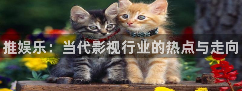 天富平台-ng大舞台,有梦你就来