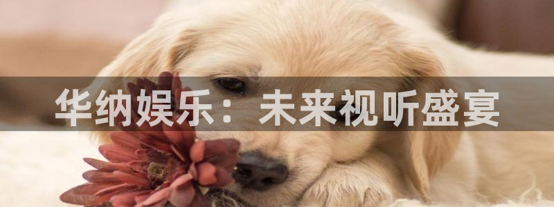天富平台的平台